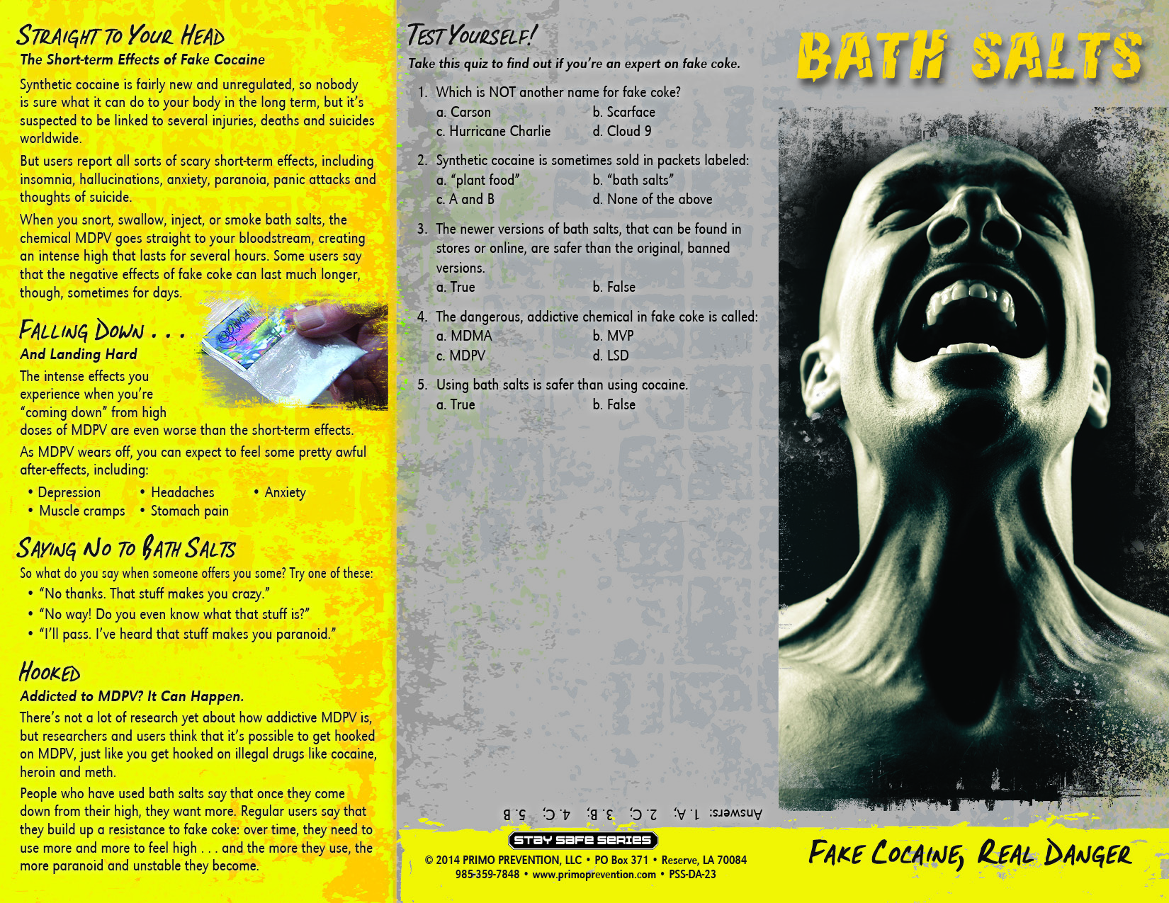 1 - Bath Salts 6 panel Bath Salts Rough 6 Panel