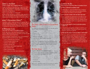 Secondhand Smoke 3 panel-back