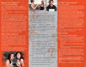 Social Hosting 3 Panel-back