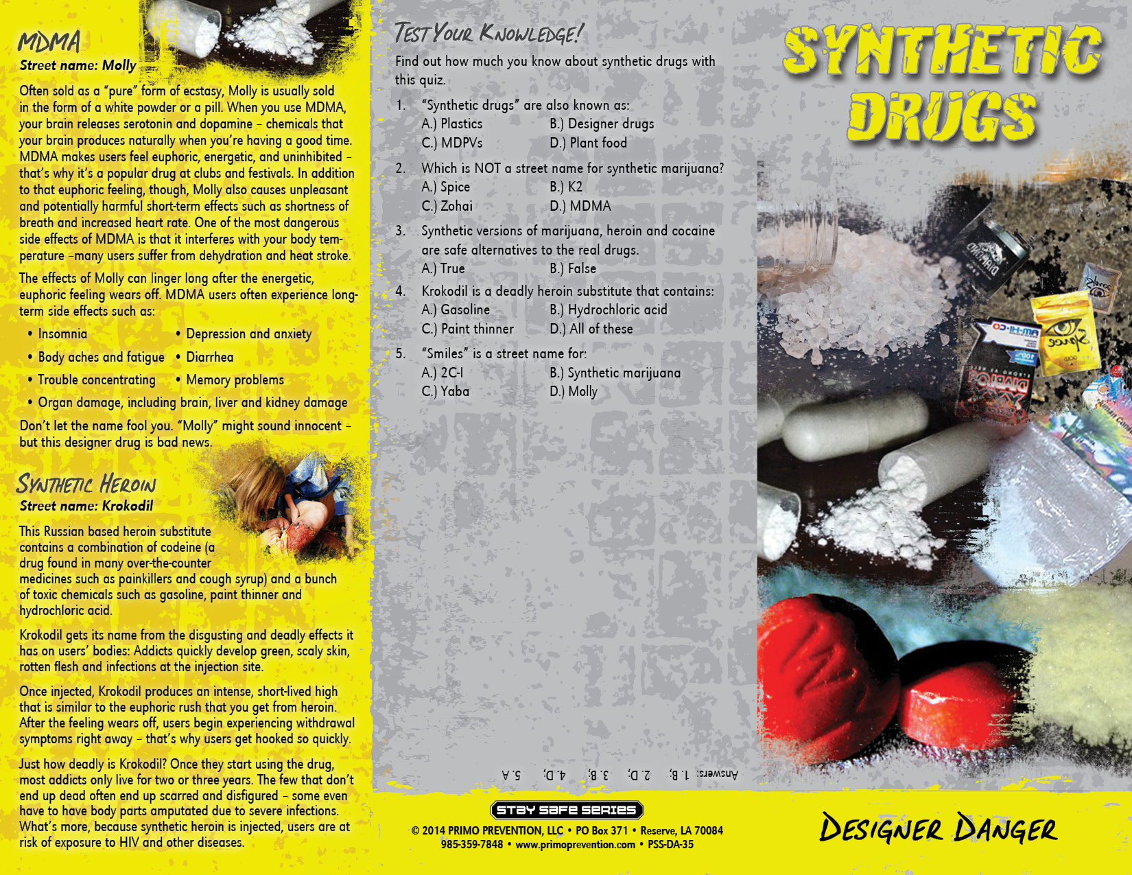 Synthetic Drugs FINAL 6 panel Front Synthetic Drugs FINAL 6 panel2 Back