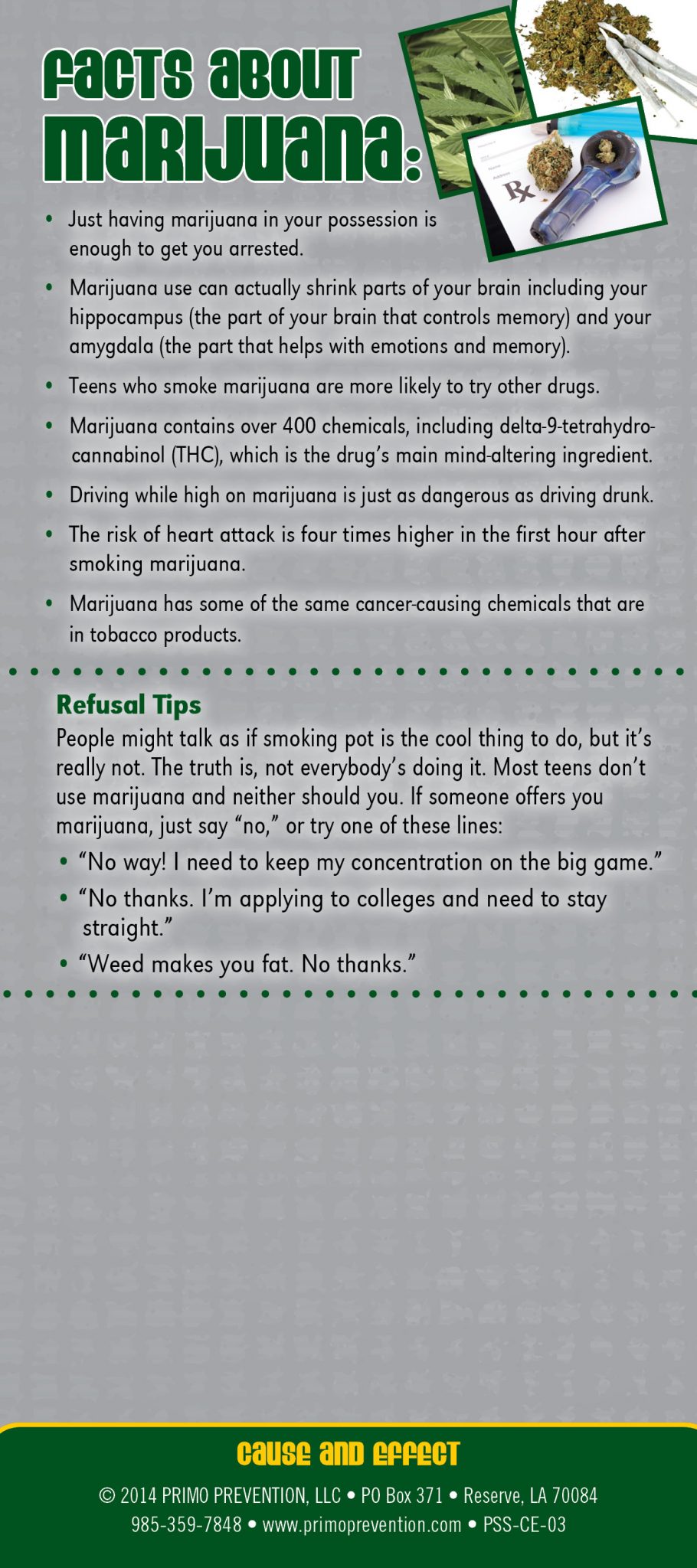 1 - Marijuana Cause & Effect Front 1 - Marijuana Cause & Effect Front