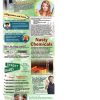 BAN-SS-13-E-Cigarettes---NEW-STAND