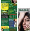 BAN SSDA 03 NEW Marijuana PCKG 100x100