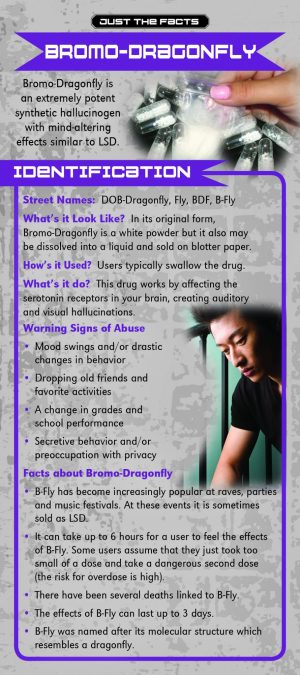 Bromo-Dragonfly Rack Cd Front