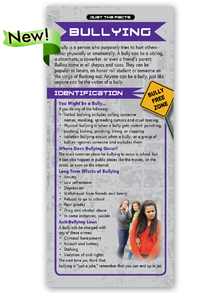 Bullying Just the Facts Rack Card: Bullying