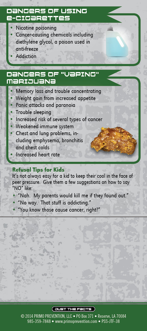 electronic cigarette Just the Facts Rack Card: Electronic Cigarette - Image 3
