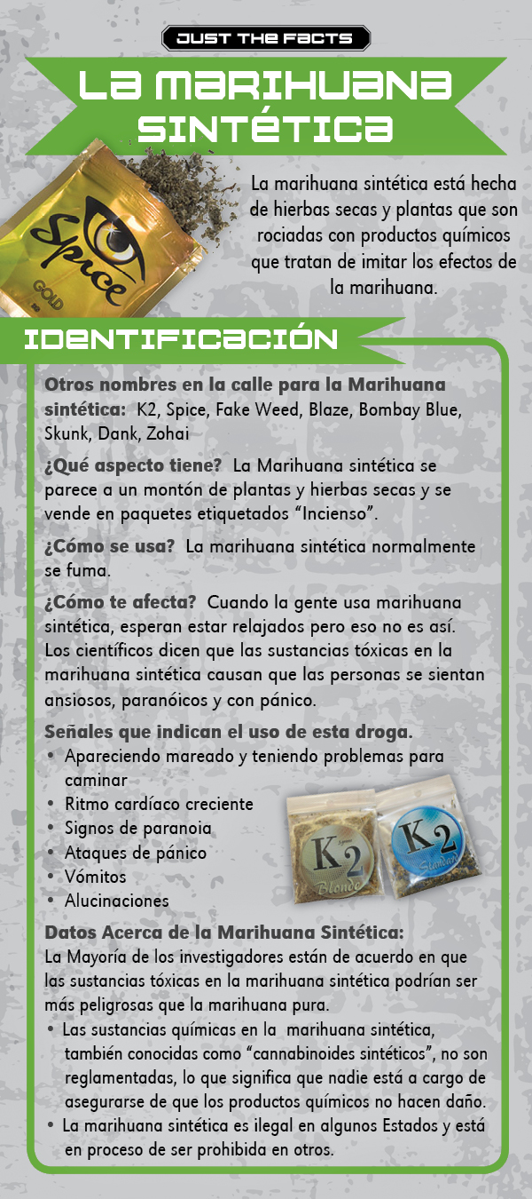 Fake Weed SPAN RC-front *SPANISH* Just the Facts Rack Card: Synthetic Marijuana - Image 2