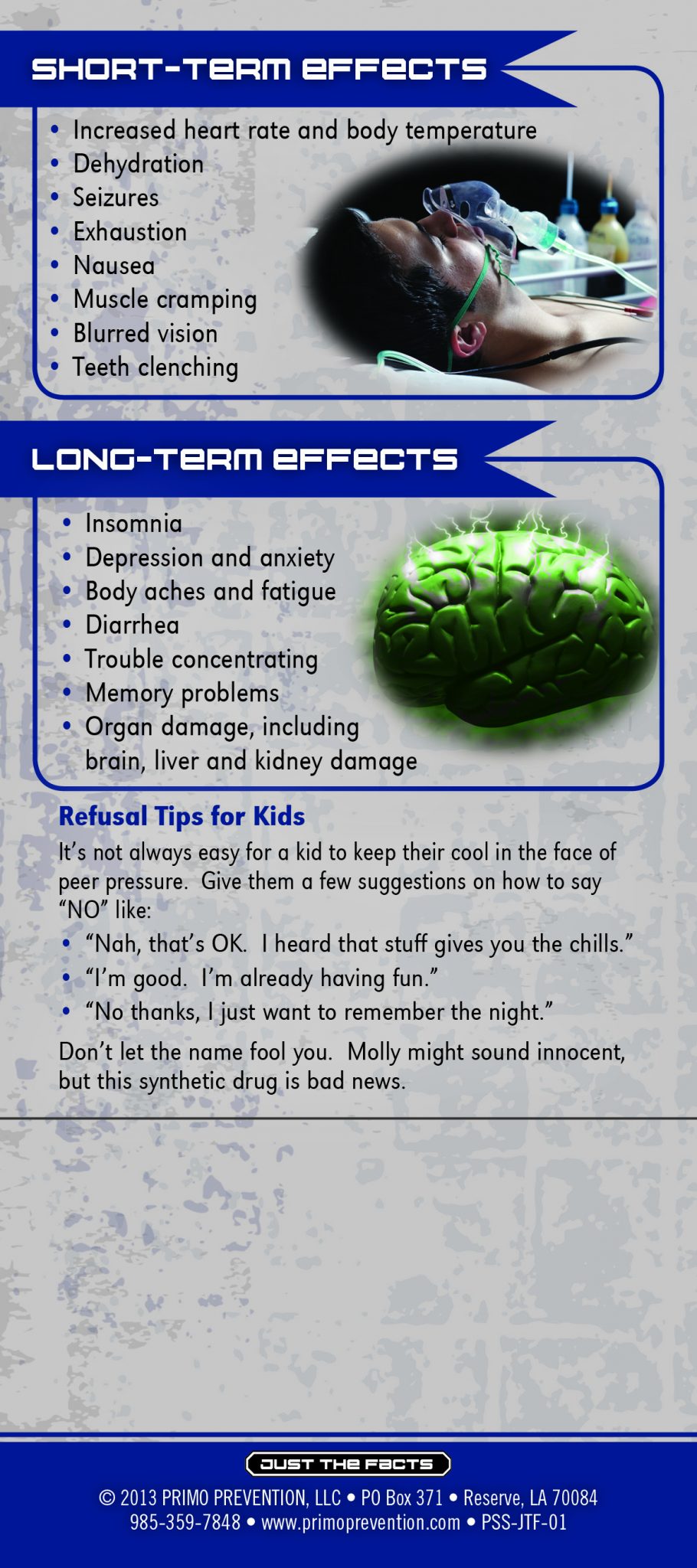 Molly Rack Cd2 Back Just the Facts Rack Card: Molly - Image 3