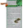 *SPANISH* Just the Facts Rack Card: Marijuana pss-jtf-07s-marijuana-rc-span