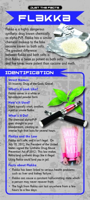PSS-JTF-51 Flakka_front