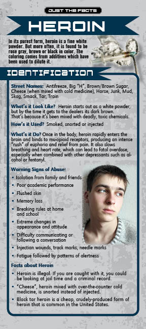 RACK-JTF-13 Heroin WEB FRONT Just the Facts Rack Card: Heroin - Image 2