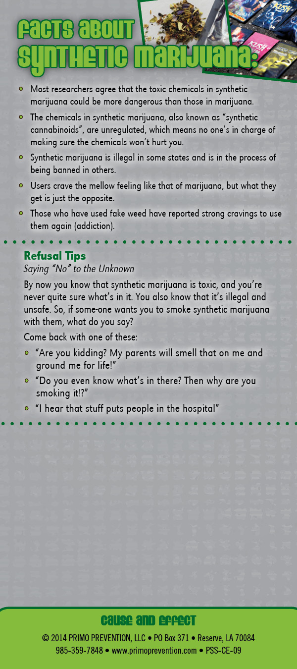 Synthetic Marijuana Cause & Effect-front Synthetic Marijuana Cause & Effect-front