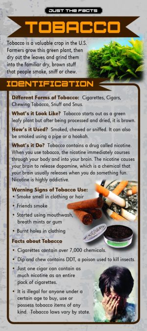 Tobacco Rack Cd Front