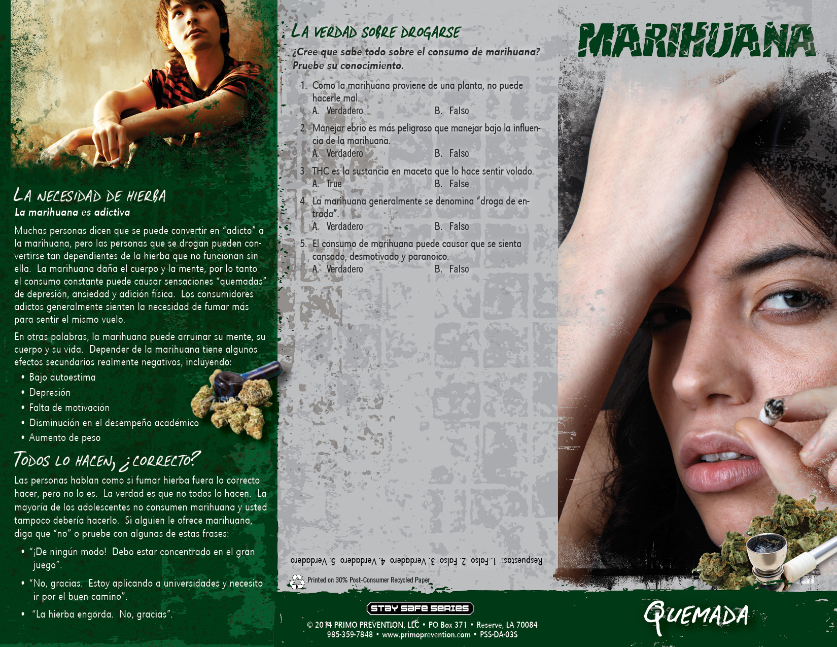 Marijuana Spanish 3 panel-front Marijuana Spanish 3 panel-back