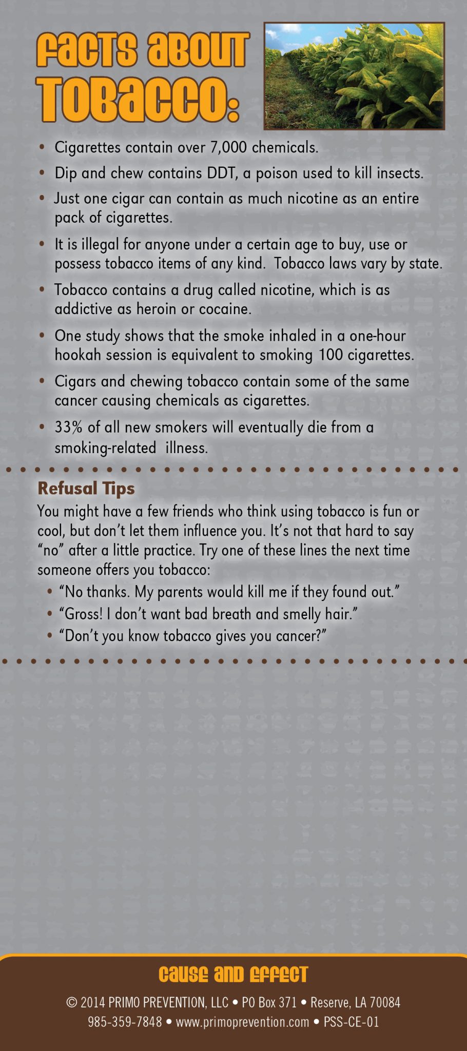 tobacco rack card tobacco rack card