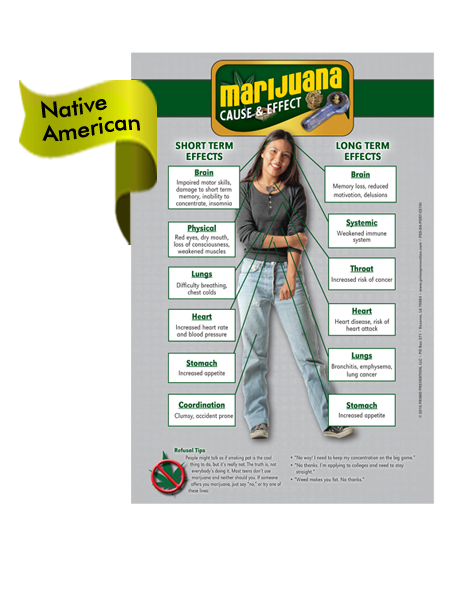 PSS-DA-POST-CE7-AI-FLAG *NATIVE AMERICAN VERSION* Marijuana Cause & Effect Mini Poster