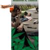 marijuana driving pamphlet