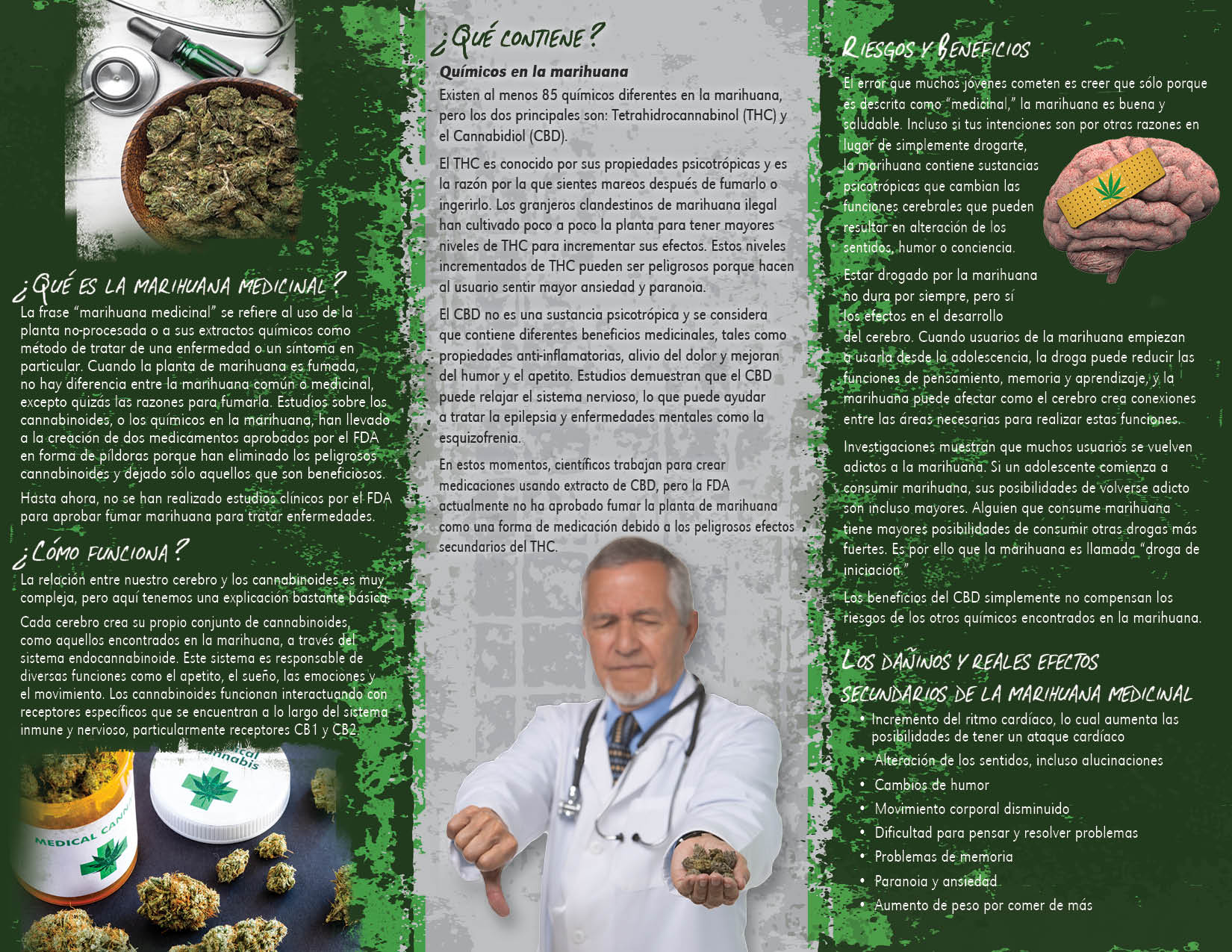 medical marijuana pamphlet medical marijuana pamphlet