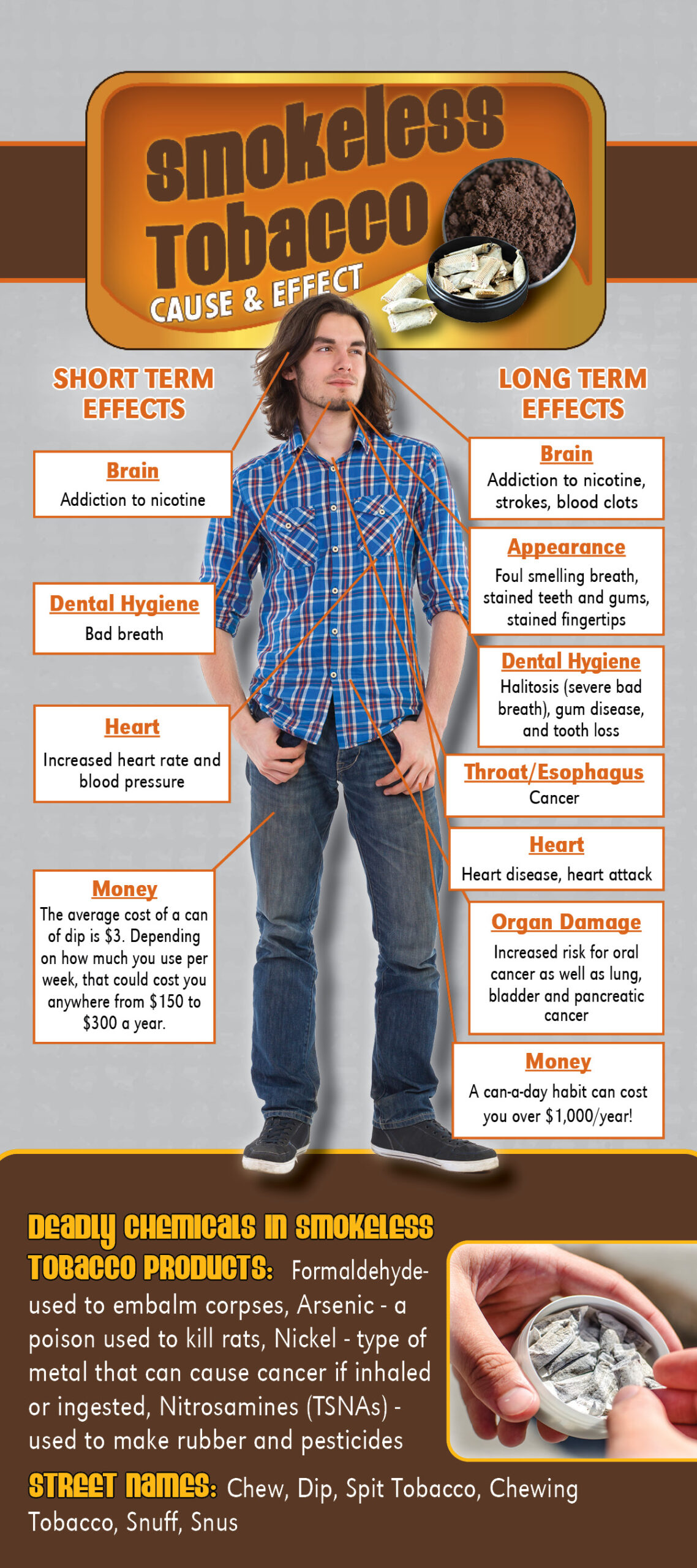 RACK-CE-14 Smokeless Tobacco CE_RC Cause & Effect Rack Card: Smokeless Tobacco - Image 2