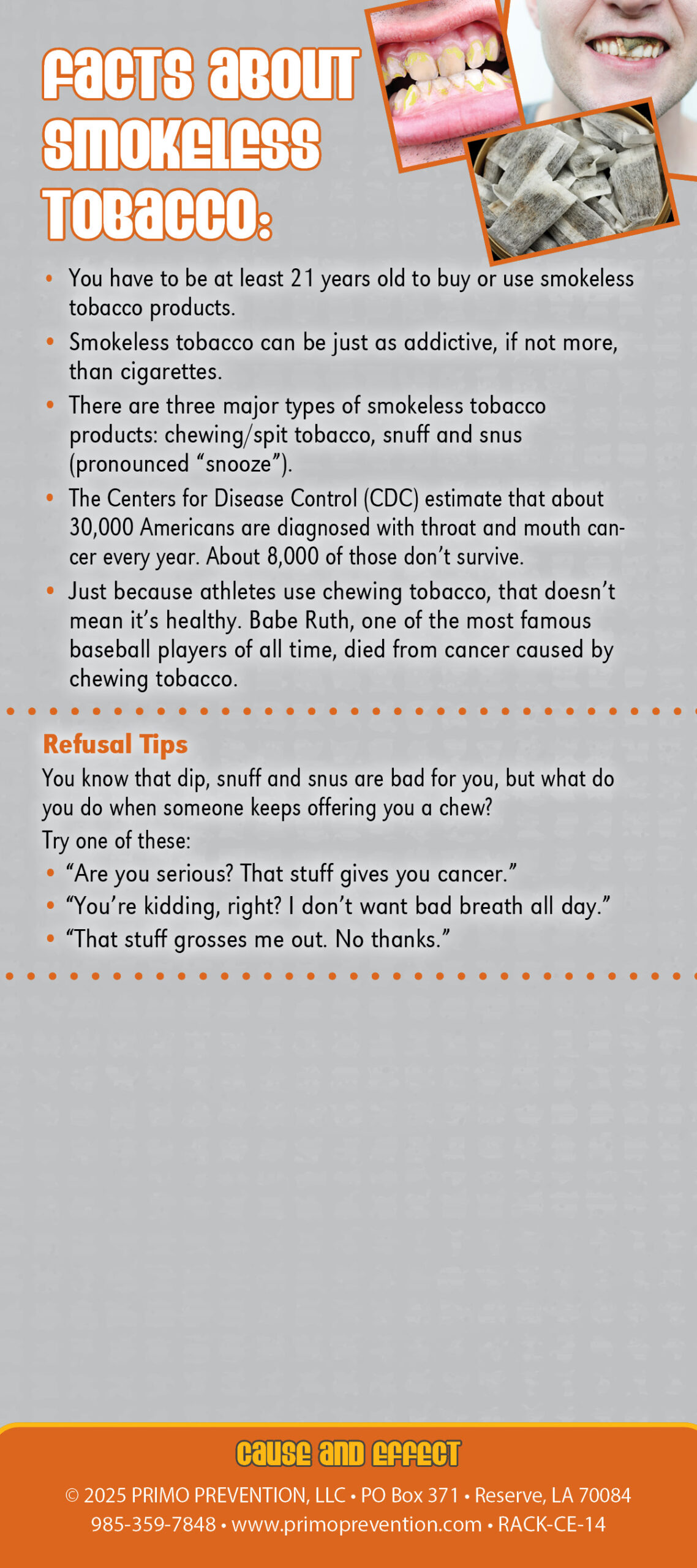 RACK-CE-14 Smokeless Tobacco CE_RC2 Cause & Effect Rack Card: Smokeless Tobacco - Image 3
