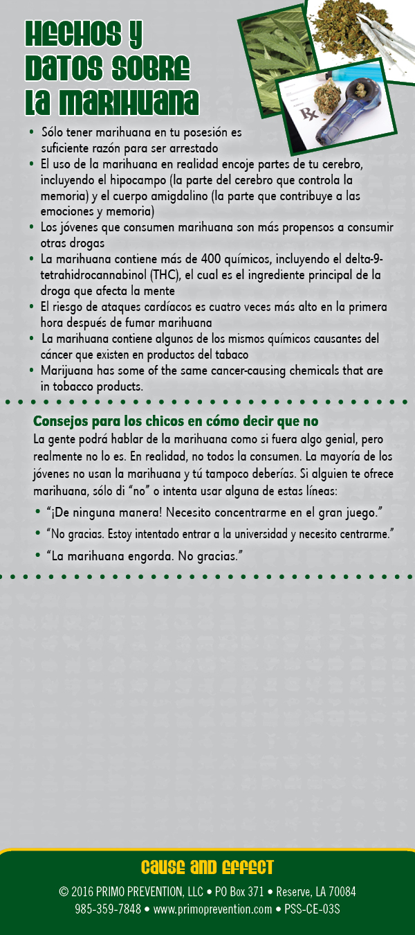 PSS-CE-03S-MARIJUANA-BACK *SPANISH* Cause & Effect Rack Card: Marijuana - Image 3
