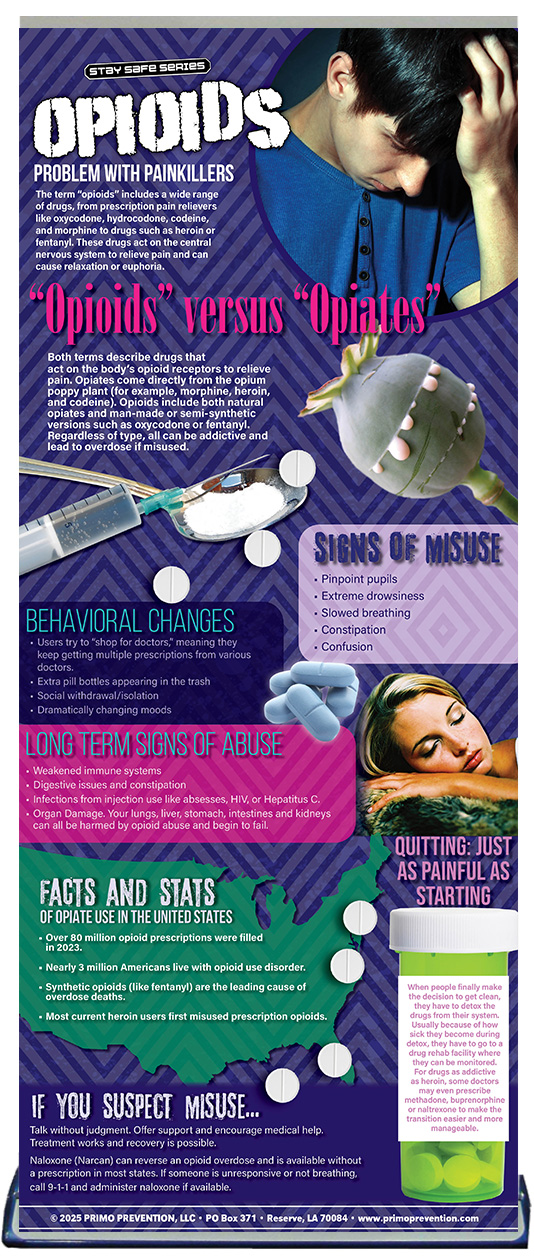 BAN-SSDA-54 Opioids Updated 2025 WEB STAND Opioids Retractable Banner Package - Image 2