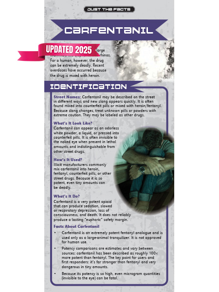 RACK-JTF-78 Updated WEB Cover Just the Facts Rack Card: Carfentanil