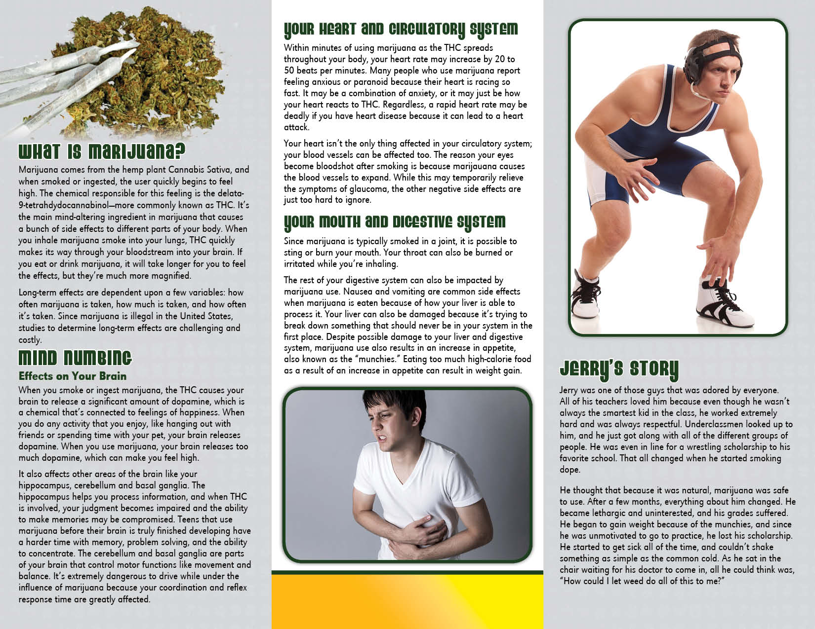 PAM-CE-03 Marijuana and Your Body-BACK Cause & Effect: Marijuana and Your Body Pamphlet - Image 2
