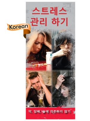 PAM-SSDA-33K-Dealing-with-Stress-KOREAN-NEW-FLAG
