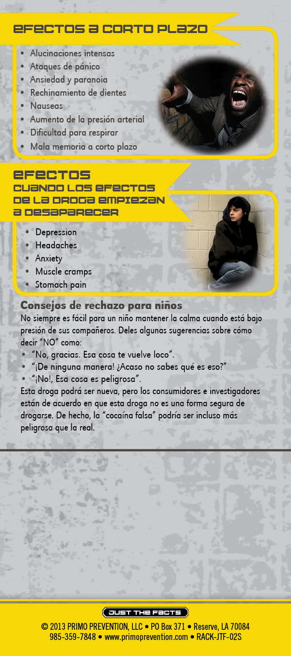 02S - Bath Salts-SPAN-RC-BACK * SPANISH* Just the Facts Rack Card: Bath Salts - Image 3