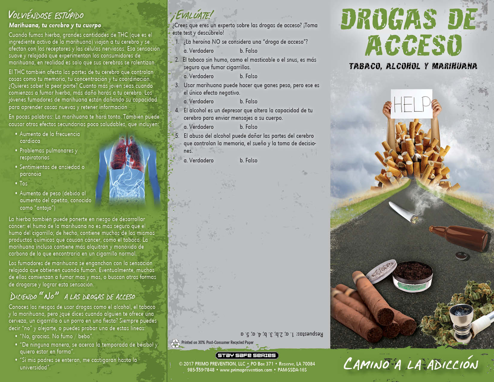 PAM-SSDA-16S Gateway Drugs-SPAN-FRONT *SPANISH* Gateway Drugs: Path to Addiction Pamphlet - Image 3