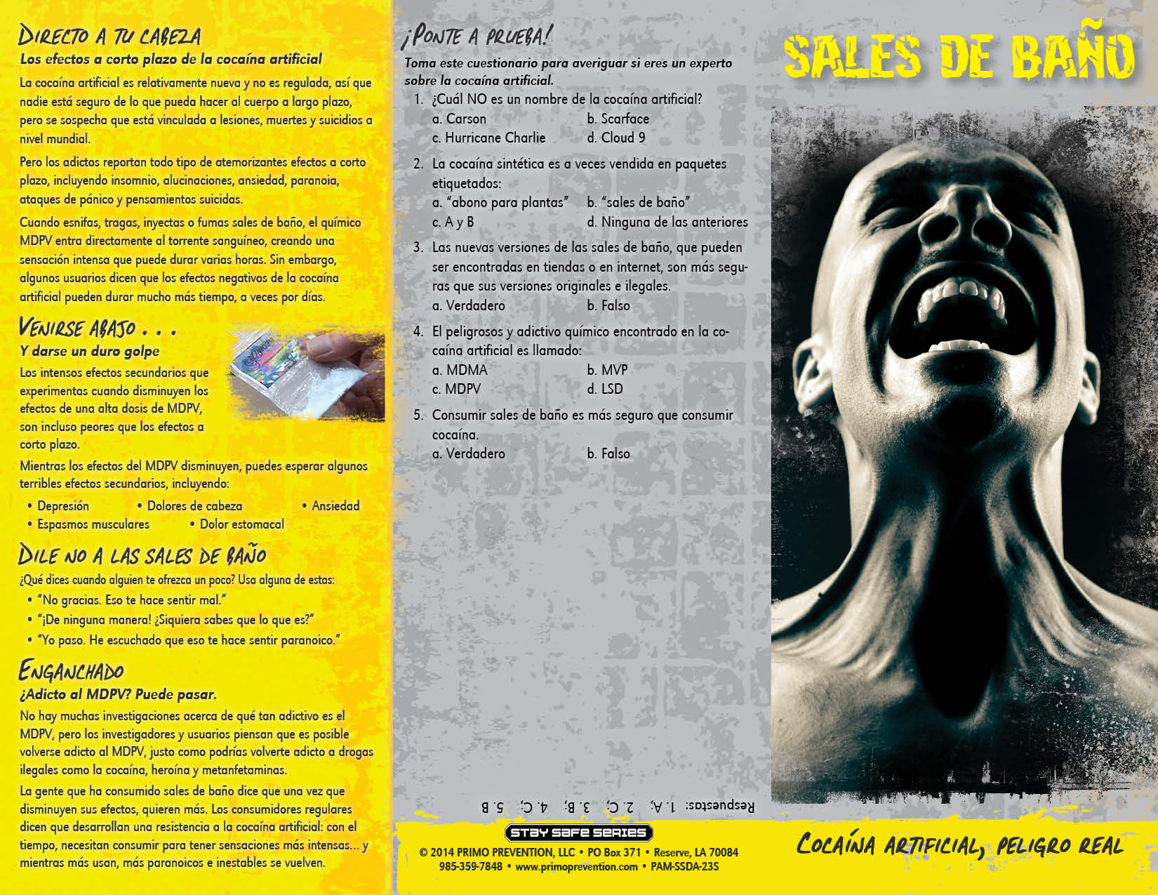 PAM-SSDA-23S Bath Salts-SPANISH-FRONT *SPANISH* Bath Salts: Fake Cocaine, Real Danger Pamphlet - Image 3