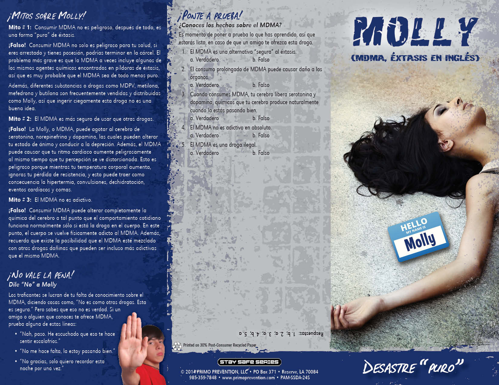 PAM-SSDA-24S Molly SPAN-FRONT *SPANISH* Molly: Pure Disaster Pamphlet - Image 3