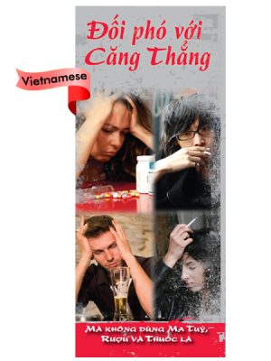 PAM-SSDA-33V-Dealing-With-Stress-VIET-FLAG