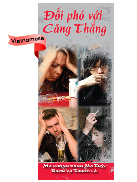 PAM-SSDA-33V-Dealing-With-Stress-VIET-FLAG PAM-SSDA-33V-Dealing-With-Stress-VIET-FLAG