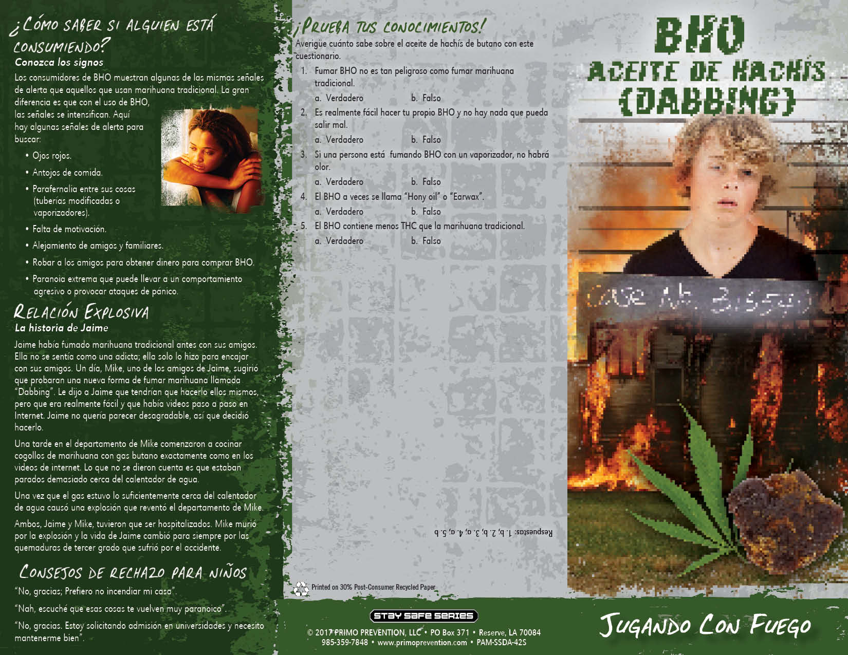 PAM-SSDA-42S BHO Dabbing-SPAN-FRONT *SPANISH* BHO Butane Hash Oil (Dabbing) Pamphlet - Image 3