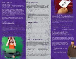 PAM-SSMH-01-Bullying-SPAN-FLAG