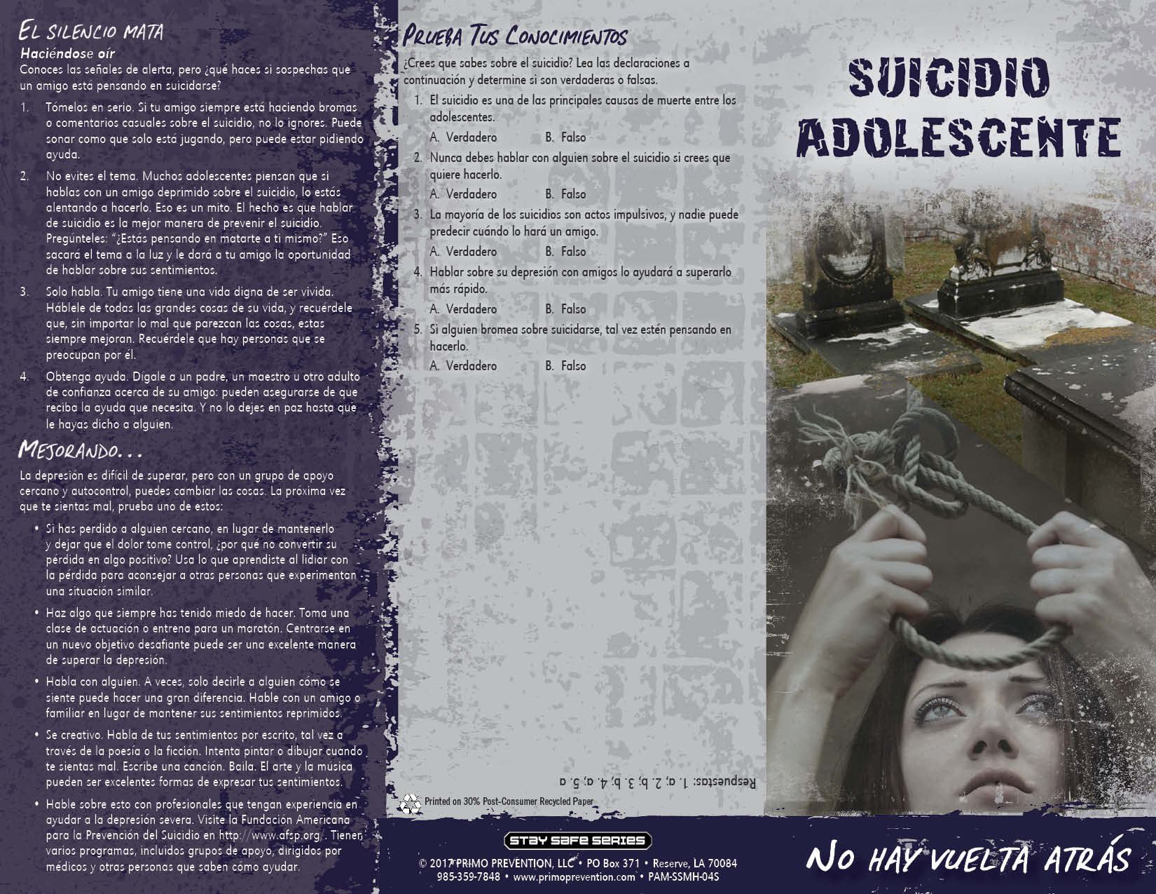PAM-SSMH-04S Teen Suicide-SPAN-FRONT *SPANISH* Teen Suicide: No Turning Back Pamphlet - Image 3