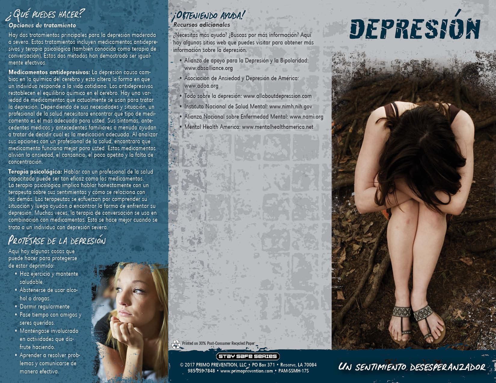 PAM-SSMH-17S Depression-SPAN-FRONT *SPANISH* Depression: A Helpless Feeling Pamphlet - Image 3