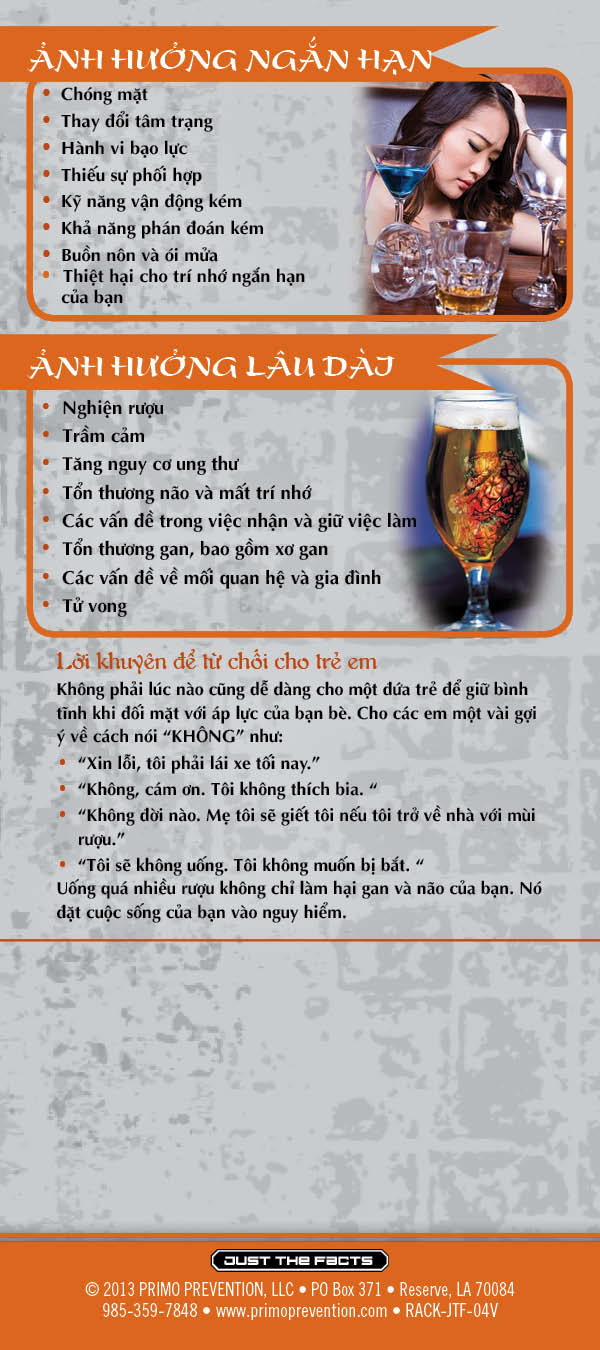 RACK-JTF-04V- Alcohol Rack Cd-VIETNAMESE-BACK *VIETNAMESE* Just the Facts Rack Card: Alcohol - Image 3