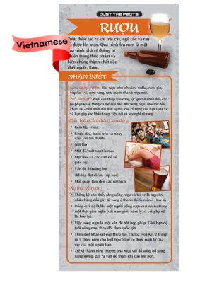 RACK-JTF-04V--Alcohol-Rack-Cd-VIETNAMESE-FLAG
