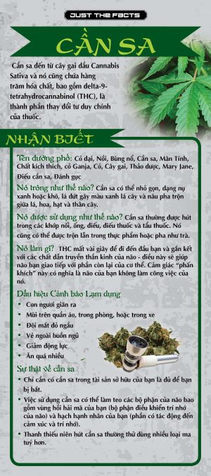 RACK-JTF-07V-Marijuana-Rack-Cd-VIETNAMESE-FLAG