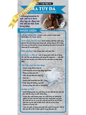 *VIETNAMESE* Just the Facts Rack Card: Meth (Methamphetamine)