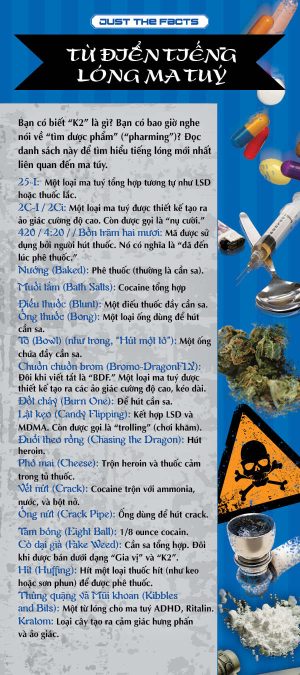 RACK-JTF-18V-Drug-Dictionary-Rack-Card-VIETNAMESE---FLAG