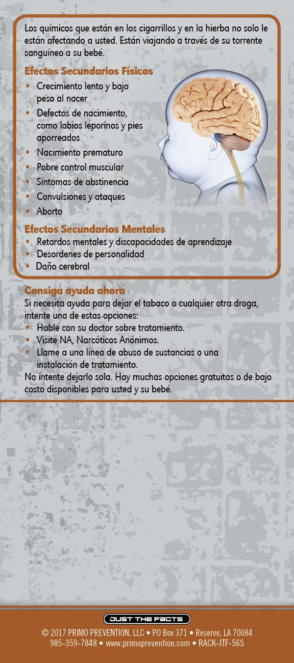 RACK-JTF-56S - Pregnancy and Smoking-SPAN-BACK *SPANISH* Just the Facts Rack Card: Pregnancy & Smoking - Image 3