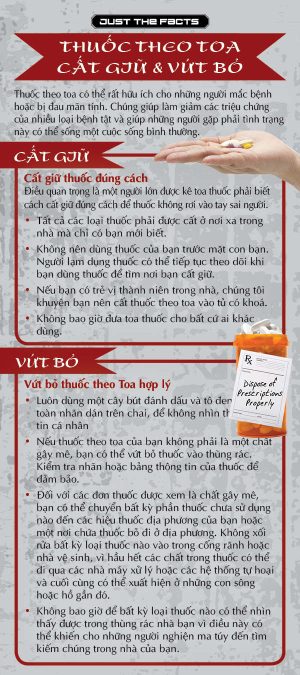 RACK-JTF-57V-Prescription-Drug-Disposal-RACK-VIETNAMESE-FLAG