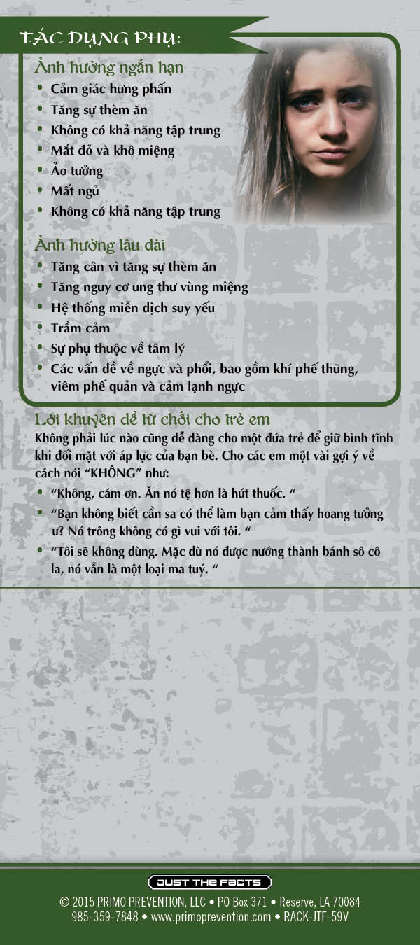 RACK-JTF-59V-Edible Marijuana Rack-VIETNAMESE-BACK *VIETNAMESE* Just the Facts Rack Card: Edible Marijuana - Image 3
