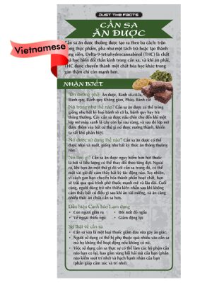 RACK-JTF-59V-Edible-Marijuana-Rack-VIETNAMESE-FLAG