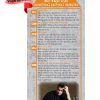*VIETNAMESE* Just the Facts Rack Card: 10 Things To Do To Keep Kids Alcohol Free RACK-JTF-63V-10-Things-to-Keep-Kids-Alcohol-Free--RACK-VIETNAMESE-FLAG