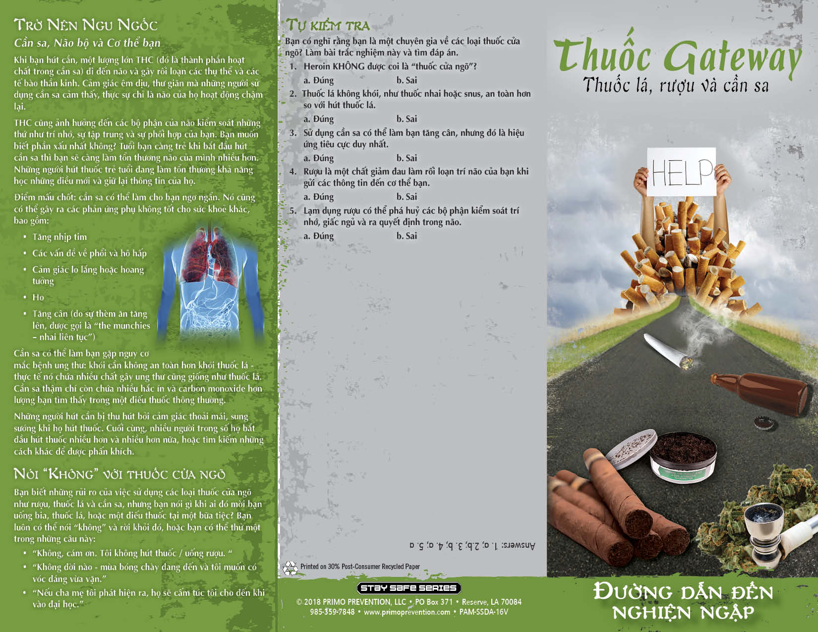 PAM-SSDA-16V Gateway Drugs-VIET-FRONT *VIETNAMESE* Gateway Drugs: Path to Addiction Pamphlet - Image 3